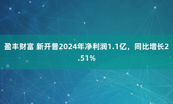盈丰财富 新开普2024年净利润1.1亿，同比增长2.51%